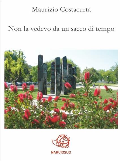 Non le vedevo da un sacco di tempo - Maurizio Costacurta - ebook