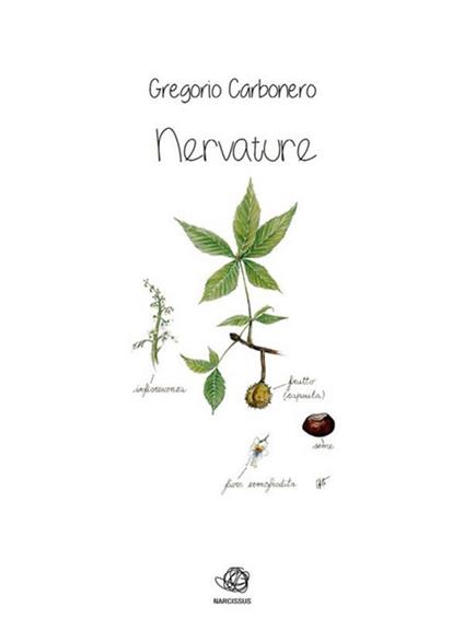 Nervature - Gregorio Carbonero - ebook