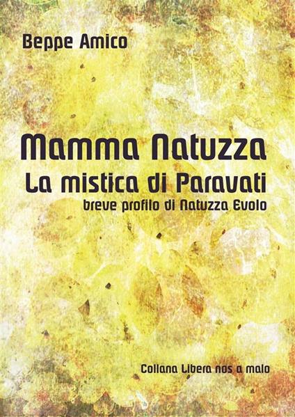 Mamma Natuzza, la mistica di Paravati. Breve profilo di Natuzza Evolo - Beppe Amico - ebook