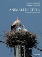 Animali di città