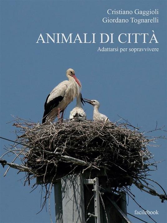 Animali di città - Cristiano Gaggioli,Giordano Tognarelli - ebook