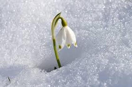 Le nevi di un tempo - Graziella Maffei - ebook