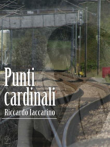 Punti cardinali - Riccardo Iaccarino - ebook