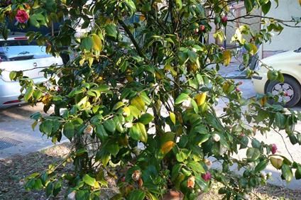 Ore di attesa - Giancarlo Evaristi - ebook