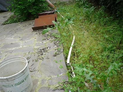 Lo strano caso di via della Croce - Giancarlo Evaristi - ebook