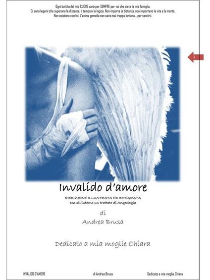 Invalido d'amore - Andrea Brusa - ebook