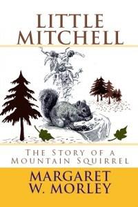 Little Mitchell - Margaret W. Morley - ebook
