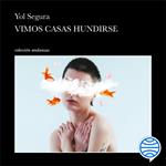 Vimos casas hundirse