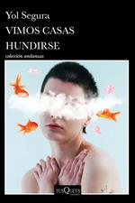 Vimos casas hundirse
