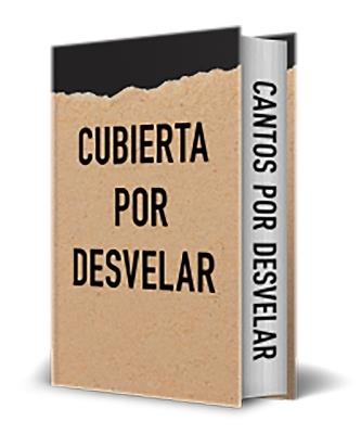 Sin Título Empíreo (No Libro 4). Edición Limitada Con Cantos Tintados / Untitled Empyrean (Not Book Four). Limited Edition with Sprayed Edges - Rebecca Yarros - cover