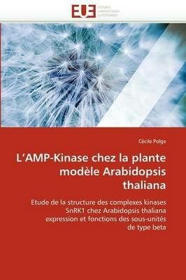L Amp-Kinase Chez La Plante Mod le Arabidopsis Thaliana - Polge-C - cover