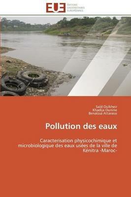 Pollution Des Eaux - Collectif - cover