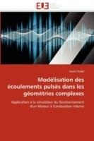 Mod lisation Des  coulements Puls s Dans Les G om tries Complexes