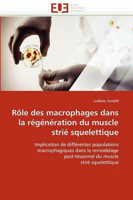 R le Des Macrophages Dans La R g n ration Du Muscle Stri  Squelettique - Arnold-L - cover