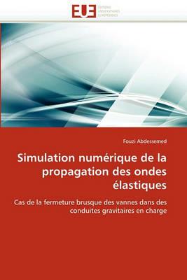 Simulation Num rique de la Propagation Des Ondes  lastiques - Abdessemed-F - cover