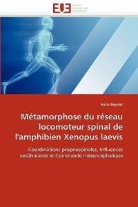 M tamorphose Du R seau Locomoteur Spinal de l''amphibien Xenopus Laevis - Beyeler-A - cover