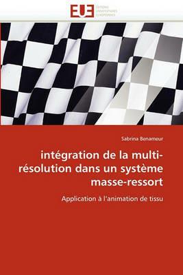 Int gration de la Multi-R solution Dans Un Syst me Masse-Ressort - Benameur-S - cover