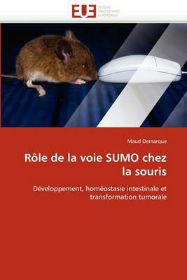 R le de la Voie Sumo Chez La Souris - Demarque-M - cover