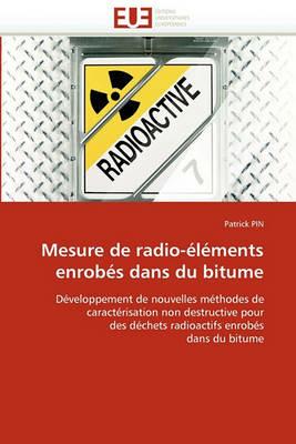 Mesure de radio-éléments enrobés dans du bitume - Pin-P - cover