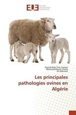 Les Principales Pathologies Ovines En Algerie