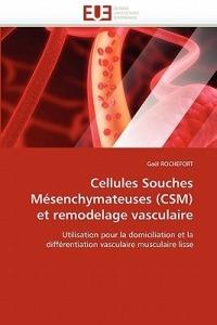 Cellules Souches M senchymateuses (Csm) Et Remodelage Vasculaire - Rochefort-G - cover