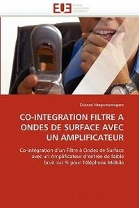 Co-Integration Filtre a Ondes de Surface Avec Un Amplificateur - Ntagwirumugara-E - cover