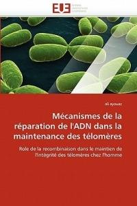 M canismes de la R paration de l''adn Dans La Maintenance Des T lom res - Ayouaz-A - cover