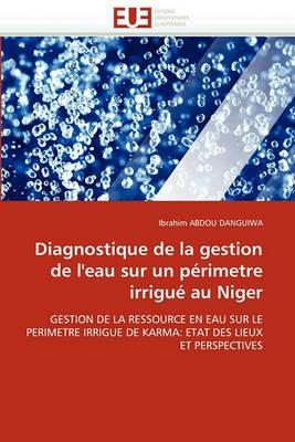 Diagnostique de la Gestion de l''eau Sur Un P rimetre Irrigu  Au Niger - Abdou Danguiwa-I - cover