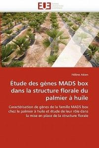 tude Des G nes Mads Box Dans La Structure Florale Du Palmier   Huile - Adam-H - cover