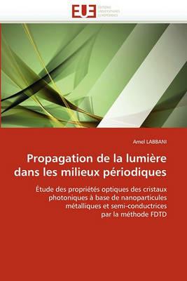 Propagation de la Lumi re Dans Les Milieux P riodiques - Labbani-A - cover