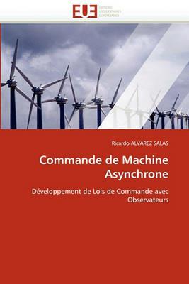 Commande de Machine Asynchrone - Alvarez Salas-R - cover