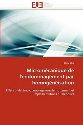 Microm canique de l''endommagement Par Homog n isation - Zhu-Q - cover