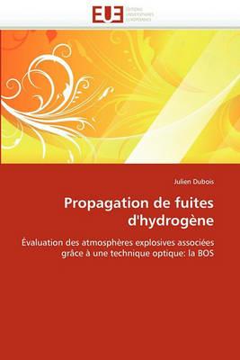 Propagation de Fuites d''hydrog ne - DuBois-J - cover