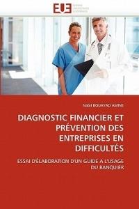 Diagnostic Financier Et Pr vention Des Entreprises En Difficult s - Amine-N - cover