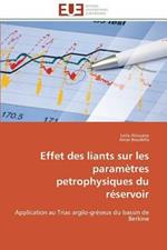 Effet Des Liants Sur Les Param tres Petrophysiques Du R servoir