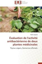 valuation de l'Activit  Antibact rienne de Deux Plantes M dicinales