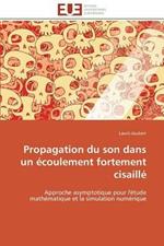 Propagation Du Son Dans Un  coulement Fortement Cisaill 
