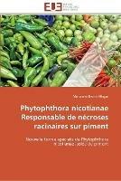 Phytophthora nicotianae responsable de necroses racinaires sur piment
