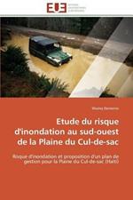 Etude Du Risque d'Inondation Au Sud-Ouest de la Plaine Du Cul-De-Sac