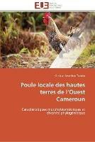 Poule locale des hautes terres de l ouest cameroun