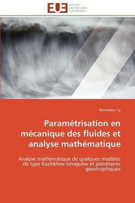 Param trisation En M canique Des Fluides Et Analyse Math matique - Sy-M - cover