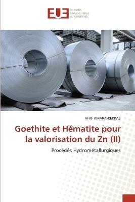 Goethite et Hématite pour la valorisation du Zn (II) - Afaf Amara-Rekkab - cover