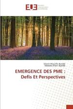 Emergence Des Pme: Defis Et Perspectives
