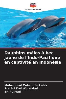 Dauphins mâles à bec jaune de l'Indo-Pacifique en captivité en Indonésie - Muhammad Zainuddin Lubis,Pratiwi Dwi Wulandari,Sri Pujiyati - cover