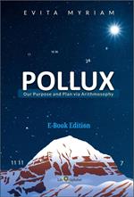 POLLUX - Our Purpose and Plan via Arithmosophy