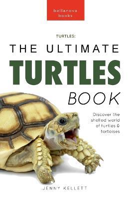 Turtles The Ultimate Turtles Book: Discover the Shelled World of Turtles & Tortoises - Jenny Kellett - cover
