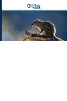 Red Teaming, Speltheorie, Panpsychisme en Quantal Perceptie - Ravikumar Kurup,Parameswara Achutha Kurup - cover