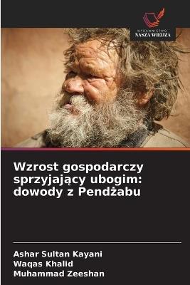 Wzrost gospodarczy sprzyjający ubogim: dowody z Pendżabu - Ashar Sultan Kayani,Waqas Khalid,Muhammad Zeeshan - cover