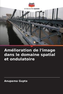 Amélioration de l'image dans le domaine spatial et ondulatoire - Anupama Gupta - cover