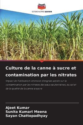 Culture de la canne à sucre et contamination par les nitrates - Ajeet Kumar,Sunita Kumari Meena,Sayan Chattopadhyay - cover